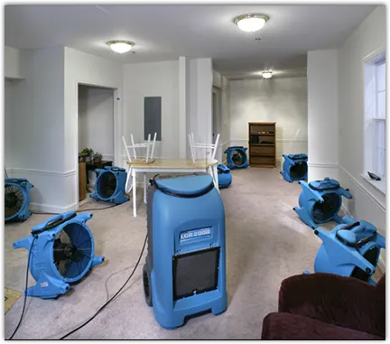 Emergency Water Damage Services in Pflugerville, TX