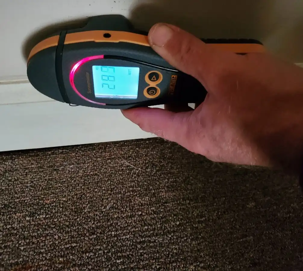 Moisture detection at baseboard during Sewage Cleanup & Sanitation in Pflugerville